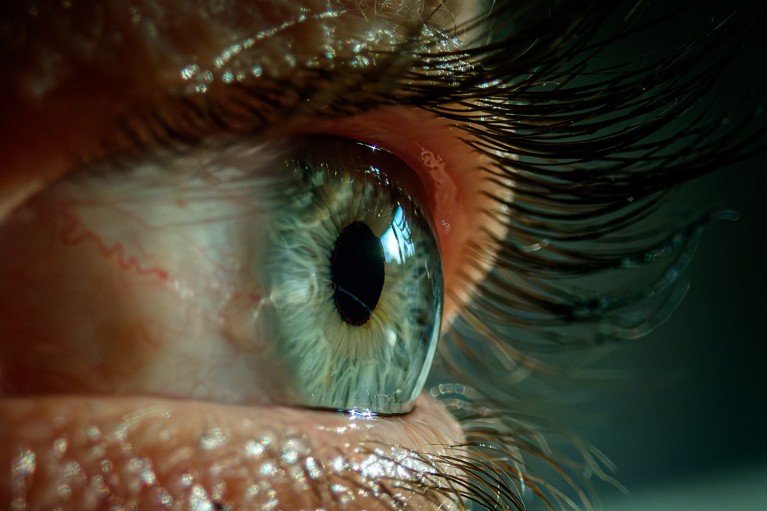 Lash Effect Image